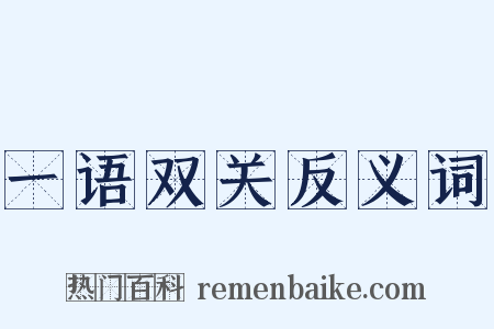 一语双关反义词是什么意思的图片